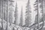 Placeholder: Norwegian forest, woodland- Pencil drawing, illustrative, graphite, crosshatching, blending