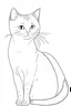 Placeholder: A cat simple drawings for coloring