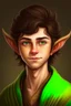Placeholder: A portrait of a young elf, a wizard, spike ears, brown hair,