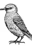 Placeholder: Xenops bird. centered flat minimalistic black and white high contrast line drawing, coloring book style, {prompt}, (white sky, white clouds, white hair, white objects, white clothing, white fur, white skin, white terrain, white scales, white everything:1.1), blank white background.