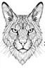 Placeholder: coloring book image of a lynx head