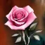 Placeholder: Watercolor pink roses