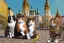 Placeholder: Group of three mature cats musicians, one cat playing guitar, one cat playing drums, one cat holding microphone and singing, street, Vienna, smiling, sunny day, model style, hyper realistic, extremely accurate, delicate, extremely detailed, Graphic novel style, wide-angle, open aperture, superfine pencil