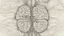 Placeholder: "The image represents microscopic details of the human brain, displaying intricate nerve structures and neural transmissions. The picturesque image reflects the complexity and beauty of neural structures in the brain, indicating recent advancements in the field of neuroscience and the significant discoveries it represents."