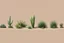 Placeholder: Isolated concept art of multiple types of alien plant on a plain neutral background. Designed for Desert biome – dry, spiky, brittle grass with sharp edges, and pale dusty colors