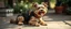 Placeholder: swag dog