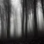 Placeholder: Dark forest noir