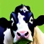 Placeholder: joe biden as a cow