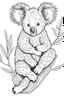 Placeholder: Draw fluffy koala sitting in a tree with a cute pouch., clean line art, white background, no shadows, black and white coloring book.