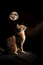 Placeholder: a cat howling at the moon