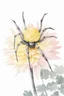 Placeholder: Create a beautiful realistic watercolor image. There is an amazing yellow Japanese Spider chrysanthemum with leaves on the grey and light pink stained background. Realistic. HD.