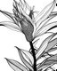 Placeholder: real massive Bird of Paradise flower coloring page