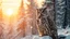Placeholder: Majestic Owl Unites with Winter Wonderland A stunning double exposure image combines a regal owl with a serene forest landscape bathed in warm sunset light and gently falling snow. The hyper-detailed cinematic style emphasizes realism and artistry, creating a harmonious fusion of natural elements.