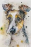 Placeholder: Abstract wet watercolour of the head of a long coated coated jack Russell, ink lines, interlinked circles, detailed,focus on eyes, watercolour paper