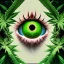 Placeholder: marijuana eyeballs in a woman