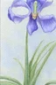 Placeholder: a painting of a blue iris by artist "Hiroshi Kobayashi"