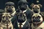 Placeholder: Mafia Pugs