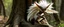 Placeholder: white feather ancient angelic gremlin wooden treant monster Robot