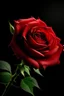 Placeholder: red rose