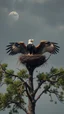 Placeholder: Bosch painting style nightmare in 3D , a nest of an eagle at the top of a tree in Africa , background, high Quality picture , 8k