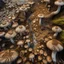 Placeholder: mushroom trip, looking deep down into the earth, many many layers of overlapping superhighways, overhead view, dirt, networks, deep into the earth, movement, life