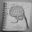 Placeholder: medicine notebook brain illustration, ink on paper