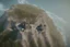 Placeholder: house on top of a cliff shot from high birdeye view with shark sticking out of the side of the house like an impossible fate