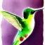 Placeholder: hummingbirdd watercolor