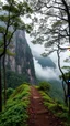 Placeholder: A trail between two mountains peaks in the Amazon side view , , below is a huge wood top view , foggy, misty , adventures