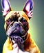 Placeholder: a detailed illustration of a french bulldog, phoenix bird wallpaper, luminescent body, full body, symmetrical body, realistic, glowing muscles, sharp focus, meticulously detailed, soft evening sky, 64k