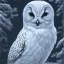 Placeholder: snow OWL