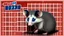 Placeholder: opossum lives in dominos pizza building