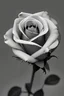 Placeholder: a single rose using multiple shades of grey