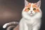 Placeholder: oil painting of a cute cat, hyperrealistic