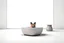 Placeholder: blob:https://stablecog.com/d8276bab-2de6-4b98-82d2-ac7f0ee0c03d ecommerce landing page, ultra realistic, one cut cat and one dog in a modern minimalist living house on the tiles, next to him a water bowl, --ar 3:2 --q 2