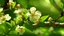 Placeholder: spring season
