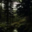 Placeholder: a dramatic scene in a dense forest with A FIR BRUNCH under the rain. The background should feature raindrops falling around the leaves.