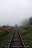 Placeholder: a train tracks in it a lot of colorful wild flowers , a train shows is coming forward , foggy, cloudy gray sky, and thunders