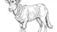 Placeholder: Generate A goat for coloing book