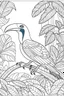 Placeholder: a toucan in a vibrant rainforest, clean line art, monochrome, for kids coloring book