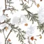 Placeholder: detailed Real Tree Camouflage made of bare branches, fir branches, dried maple leaves, snow and dirt, light drop shadows, white background, seamless repeatable texture camo pattern, muted color