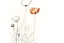 Placeholder: Minimalist ink pencil and charcoal drawing of poppies