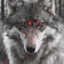 Placeholder: A wolf with red eyes