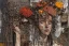 Placeholder: an abstract painting of rusted metal and flowers, by anselm kiefer and lucian freud, rust, scaffolding, iron cladding, decay, mixed media, textured, anatomically correct, beautiful perfect face, sharp focus, highly detailed, unity engine,full black woman face