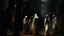 Placeholder: A group of ghostly figures in long white robes walking through a dark, hazy forest landscape