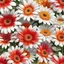 Placeholder: gerbera daisy flower on white background, illustration, seamlessly repeating pattern