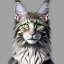 Placeholder: Maine coon ear