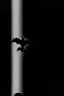 Placeholder: batman light sign by lorry