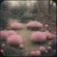 Placeholder: Strange furry garden , pink, autochrome