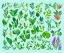 Placeholder: vector plants and herb set illustration. watercolor